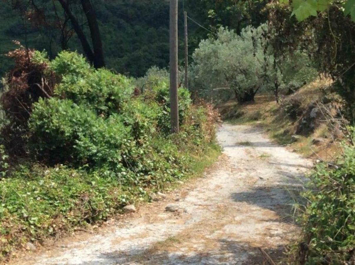 Holiday Home Dionysis خوريفتون المظهر الخارجي الصورة